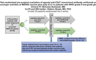 Recommendations for Intraoperative Adverse Events Data Collection in  Clinical Studies and Study Protocols. An ICARUS Global Surgical  Collaboration Study. - Abstract - Europe PMC